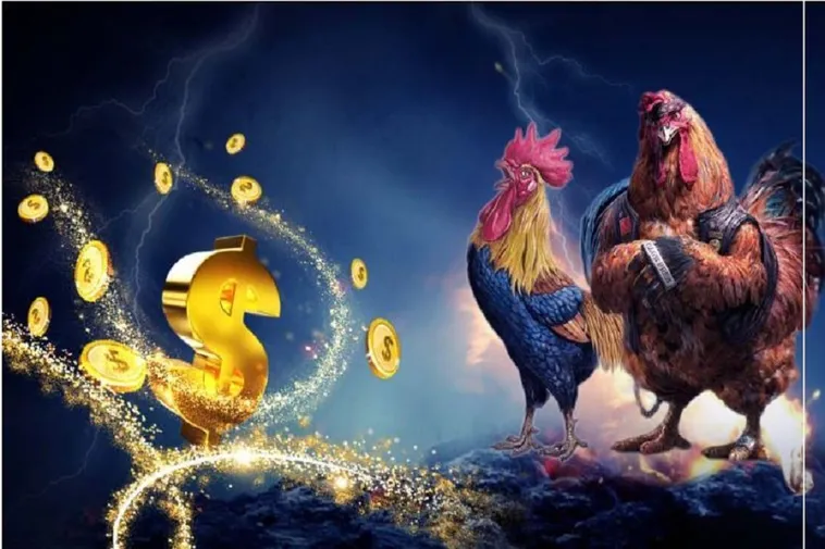 Bí Kíp Chơi Đá Gà WS168 Tại 789WIN Dễ Thắng Nhất 2025