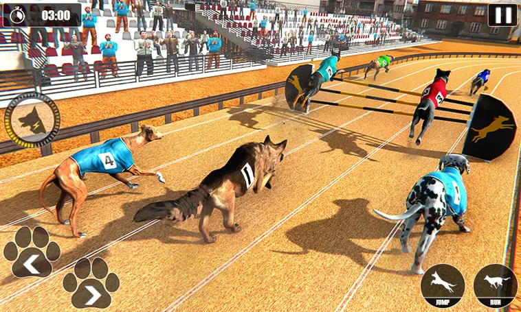 Bí Kíp Thắng Lớn Game Nhanh Đua Chó Tại 789WIN Dễ Như Trở Bàn Tay